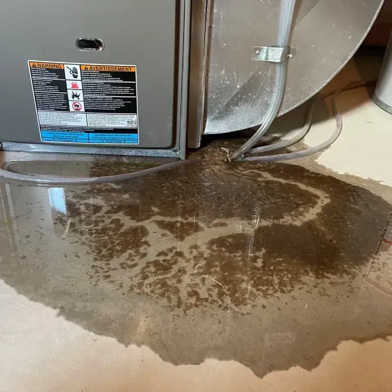 Appliance Leak Cleanup in Morrison County, MN